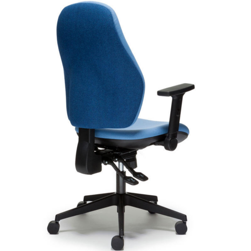 Torasen Orthopaedica 100 Office Chair Rear View