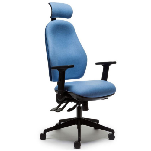 Torasen Orthopaedica 100 Wider Back Chair with Headrest