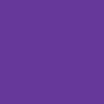 Purple - Loop Nylon