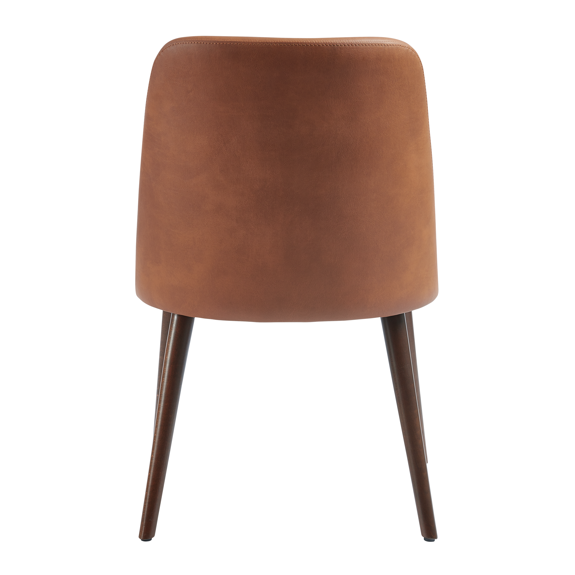 Aztec Side Chair rear view